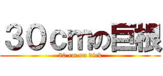 ３０ｃｍの巨根 (30 cm on dick)