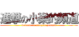 進撃の小樂的頻道 (welcome to xiaoyun youtube)