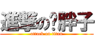 進撃の张胖子 (attack on titan)