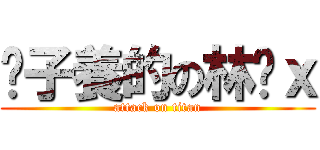 婊子養的の林暐ｘ (attack on titan)