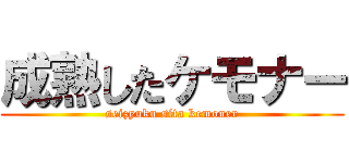 成熟したケモナー (seizyuku sita kemoner)