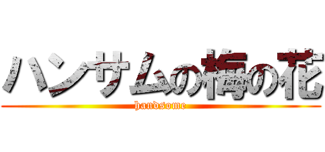 ハンサムの梅の花 (handsome)