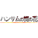 ハンサムの梅の花 (handsome)