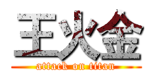 王火金 (attack on titan)