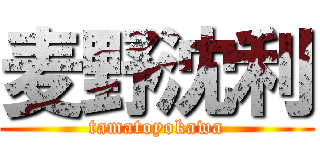 麦野沈利 (tamatoyokawa)