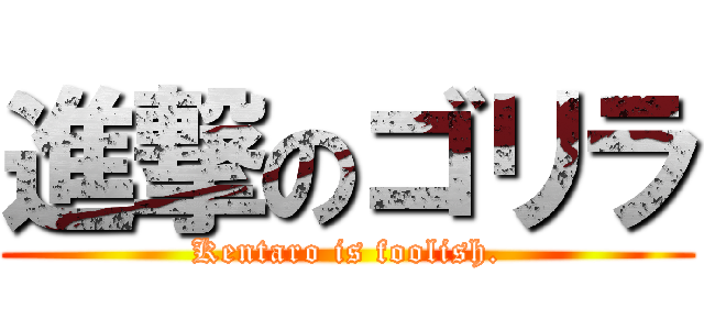 進撃のゴリラ (Kentaro is foolish.)