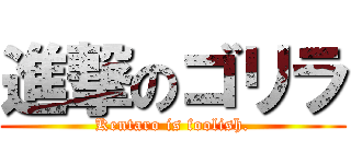 進撃のゴリラ (Kentaro is foolish.)