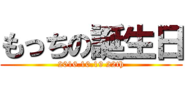 もっちの誕生日 (2016.10.19 22th)