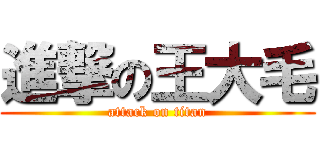 進撃の王大毛 (attack on titan)