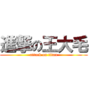 進撃の王大毛 (attack on titan)