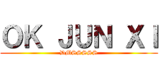 ＯＫ ＪＵＮ ＸＩ (DMSSSSS)