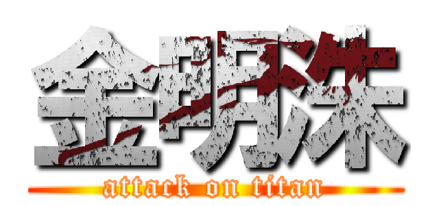 金明洙 (attack on titan)