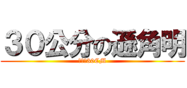 ３０公分の遜角明 (未勃起30CM)