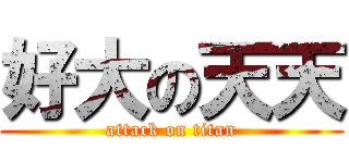 好大の天天 (attack on titan)
