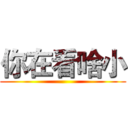 你在看啥小 ()