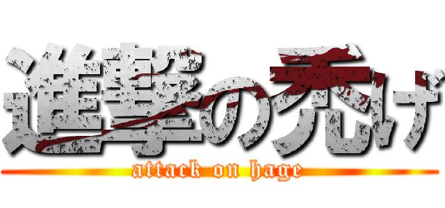 進撃の禿げ (attack on hage)