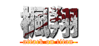 楓翔 (attack on titan)
