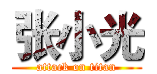 张小光 (attack on titan)