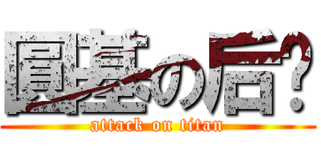 圓基の后宫 (attack on titan)