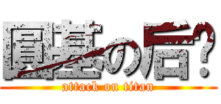 圓基の后宫 (attack on titan)