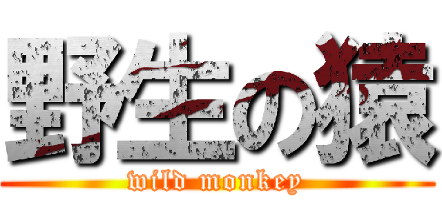 野生の猿 (wild monkey)