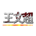 王文超 ()