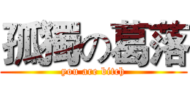 孤獨の葛落 (you are bitch)