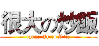 很大の炒飯 (large Fried Rice)