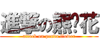 進撃の熊貓花 (attack on penda flower)