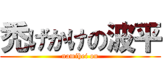 禿げかけの波平 (namihei on)