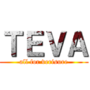 ＴＥＶＡ (all for verisure)
