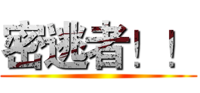 密逃者！！ ()