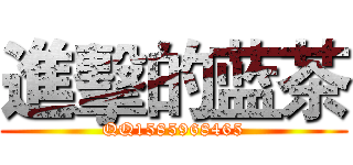 進擊的蓝茶 (QQ1585968465)