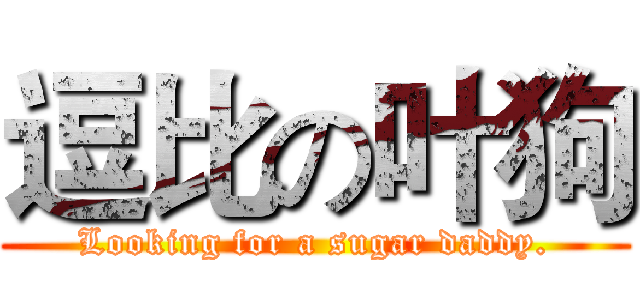 逗比の叶狗 (Looking for a sugar daddy.)