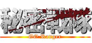 秘密戰隊 (GO Ranger)