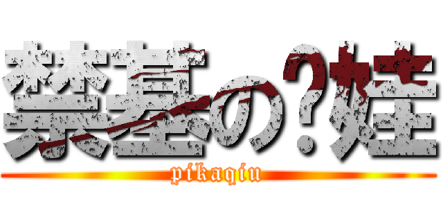 禁基の电娃 (pikaqiu)