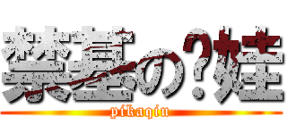 禁基の电娃 (pikaqiu)