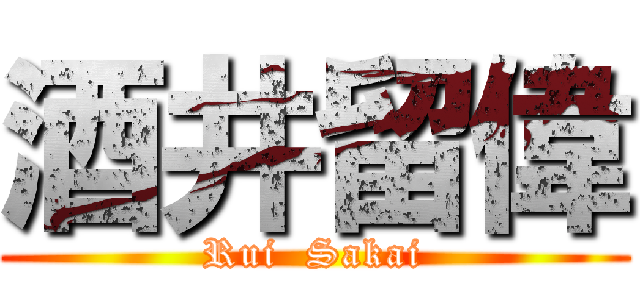 酒井留偉 (Rui  Sakai)