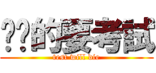 奶奶的要考試 (test will die)