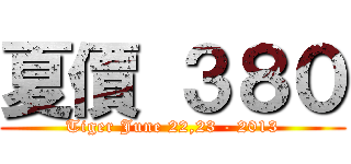 夏價 ３８０ (Tiger June 22,23 - 2013)