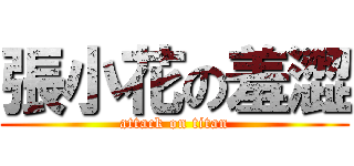 張小花の羞澀 (attack on titan)