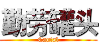 勤劳罐头 (Cantal)