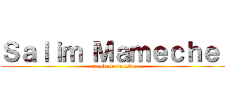 Ｓａｌｉｍ Ｍａｍｅｃｈｅ  (attack on t’a mère )