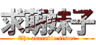 求萌妹子 (The adorable sister)