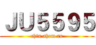 ＪＵ５５９５ (chin ahem au)