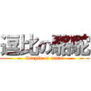 逗比の駱駝 (Stupid on camel)