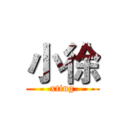 小徐 (xting)