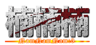 楠楠楠 (NamNamNam:3)