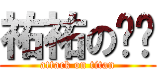 祐祐の爸爸 (attack on titan)