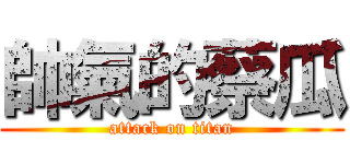 帥氣的蔡瓜 (attack on titan)